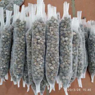 Phân dê cho hoa lan đã xử lý túi 10cm
