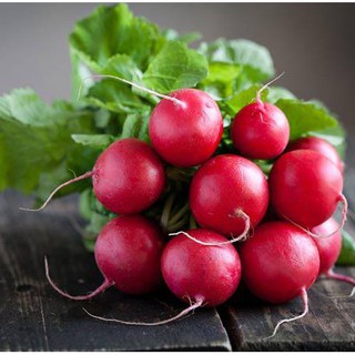 Hạt Giống Củ Cải Đỏ