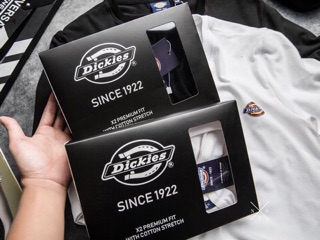 Áo thun Dickies