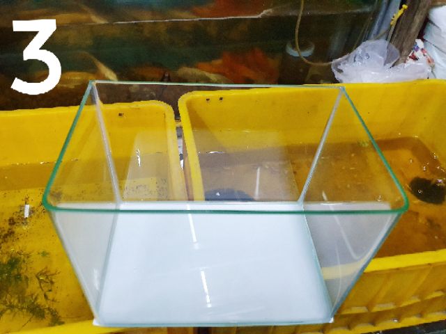 HỒ CÁ ĐÚC BO CONG 2 CẠNH 26x27x19cm