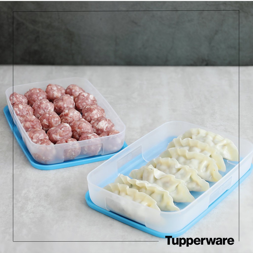 Hộp trữ đông dẹt, dẹp, thấp Freezermate Low bảo quản thực phẩm 650ml, 1.5L, 3.1L, 1.2L  Tupperware chính hãng, CAMIHOME
