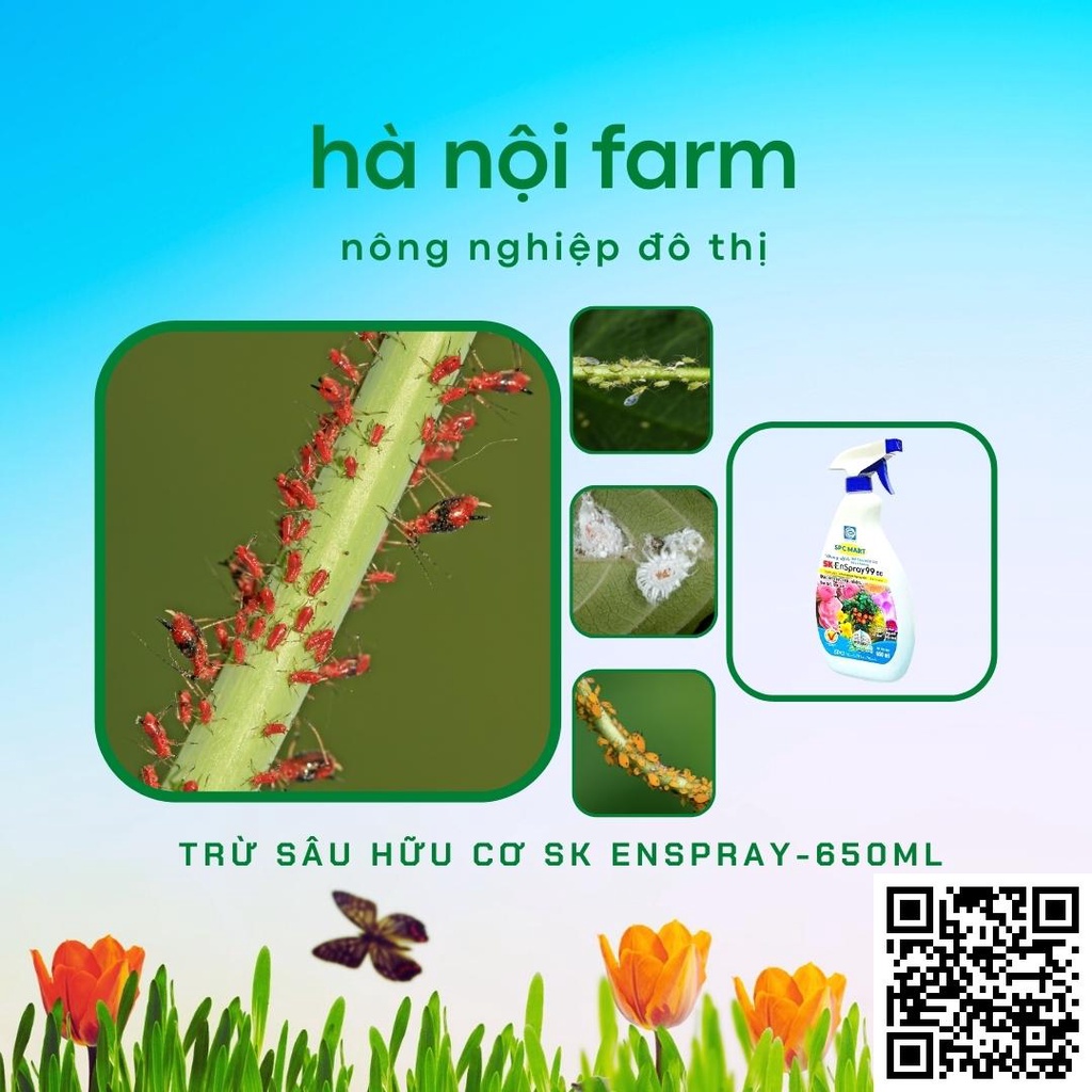 KHÔNG MÙI - Chai xịt trị rầy rệp, nhện, bọ trĩ, bọ xít trên hoa hồng,cây cảnh_Dung dịch hữu cơ dầu khoáng SK ENSPRAY99EC