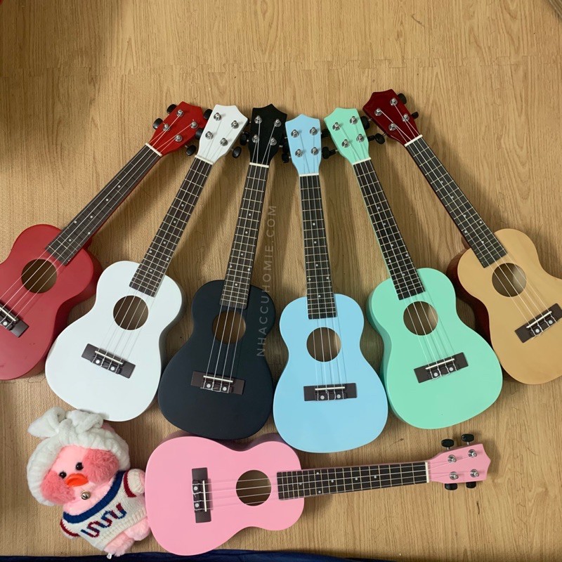 ( FLASH SALE ) ĐÀN UKULELE CONCERT MÀU