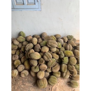 5kg Sầu riêng rụng (sầu ta rụng)