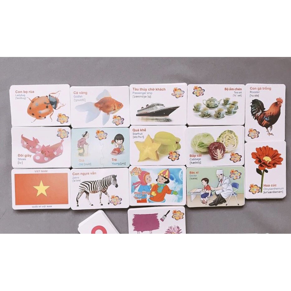 THẺ HỌC THÔNG MINH 16 CHỦ ĐỂ 416 THẺ