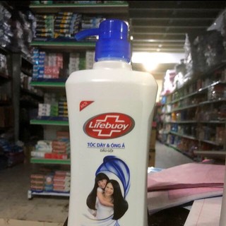 Dầu gội lifebuoy 640g.