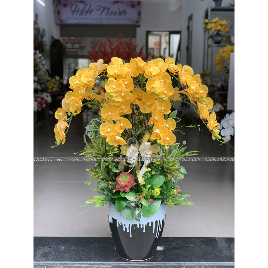 Hoa giả 🌸FREESHIP🌸 CHẬU LAN HỒ ĐIỆP VÀNG -cao su cao cấp ,gốm sứ Bát Tràng , cao 1M (Ảnh thật shop chụp)