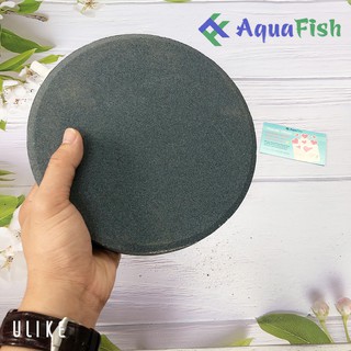 Đĩa Sủi Khí Oxy Đường Kính 20cm Dùng Cho Bể Cá Cảnh, Hồ Cá Ngoài Trời (đĩa mịn, bọt khí ra mịn, đều)
