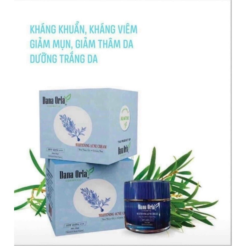 Combo da mụn chiết xuất tinh dầu tràm trà Dana Orla