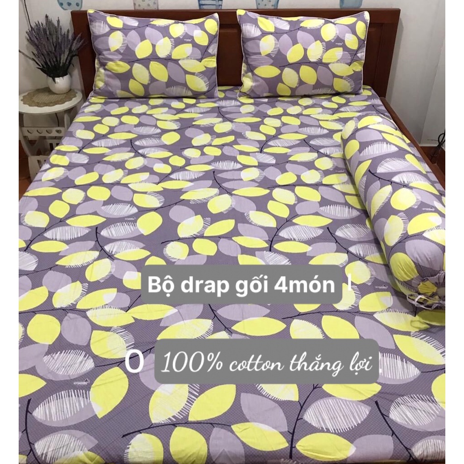 Bộ Drap Cotton Thắng Lợi { 4 món } {đủ size}