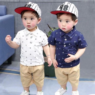 Combo sỉ c Báo Tây