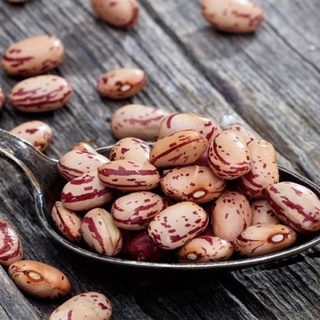 1kg đậu cúc cúc đà lạt & cúc aghetina