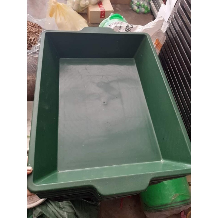 Máng trồng rau sạch, rau mầm, máng gà, đựng nước  30x50x10
