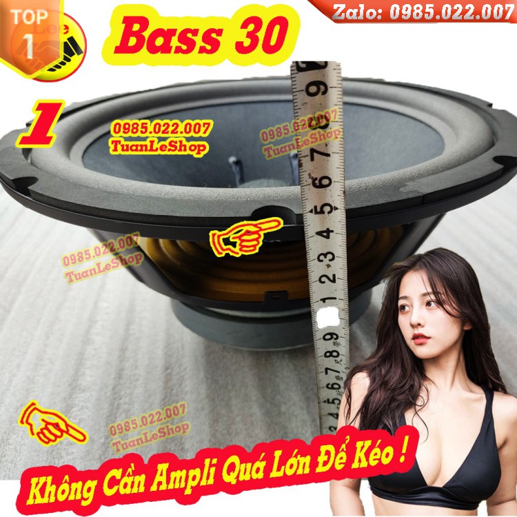 1 CỦ LOA BASS 30 GÂN MÚT COIL 66 TỪ KÉP 156-100 –GIÁ 01 CỦ 3 TẤC