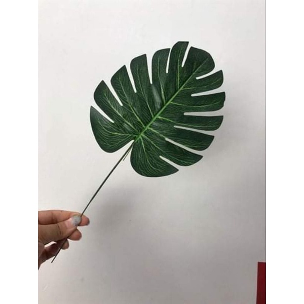 set bóng  ( combo cho khách )