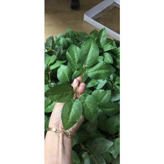 20 lá hoa hồng có vân