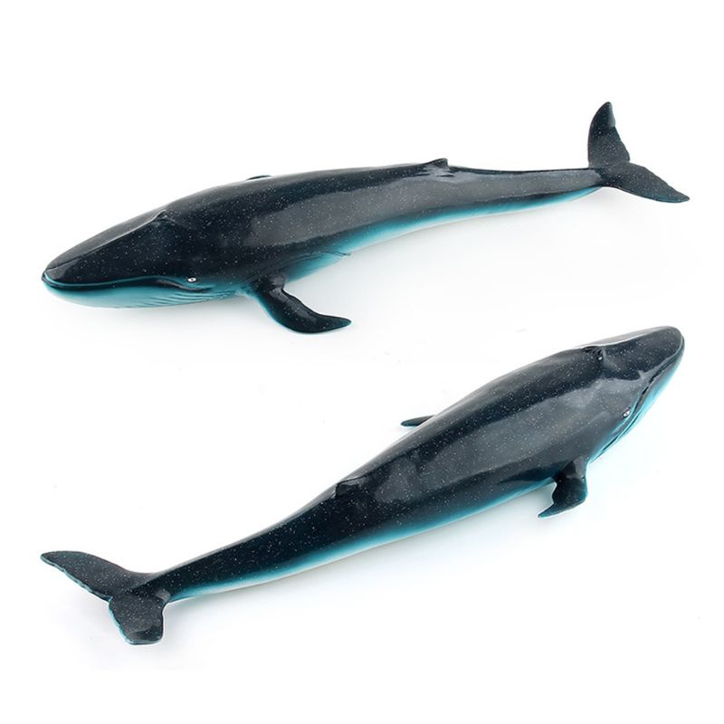 Mô Hình Cá Voi Đồ Chơi Cho Bé