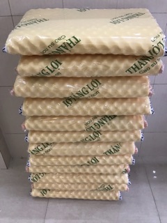 Nệm cho bé kèm theo gối 60x1m2