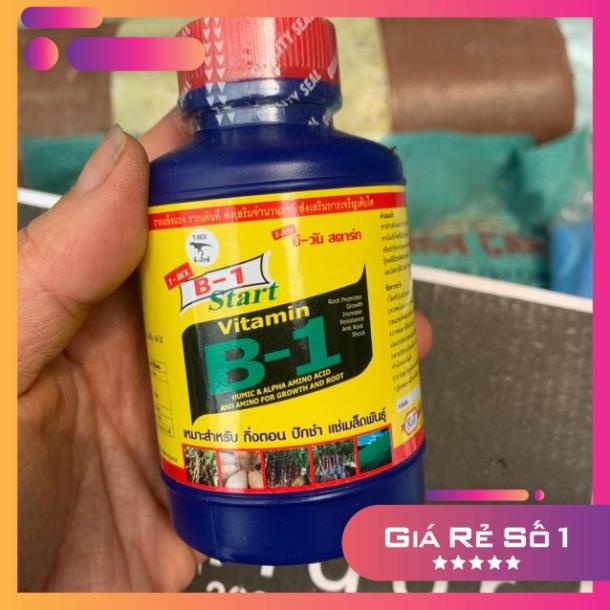 Vitamin b1 thái lan chai 100ml