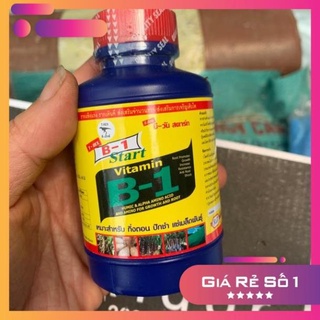 Vitamin b1 thái lan chai 100ml
