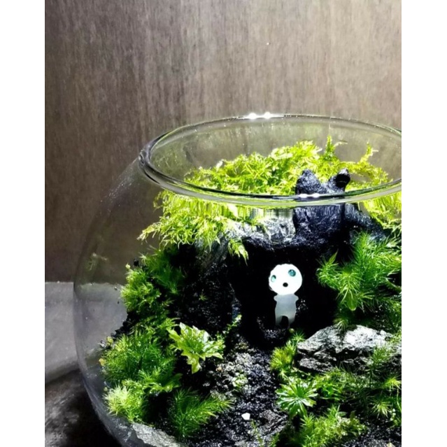 Mononoke, thần cây dạ quang phát sáng trang trí bể terrarium, sen đá, tiểu cảnh