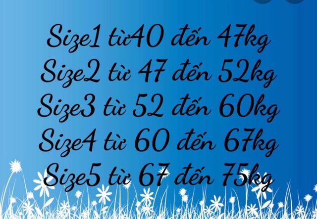 [SIZE 2] Đồ bộ Tole đùi tay cánh tiên-Đồ bộ lanh 2 da loại 1 dễ thương