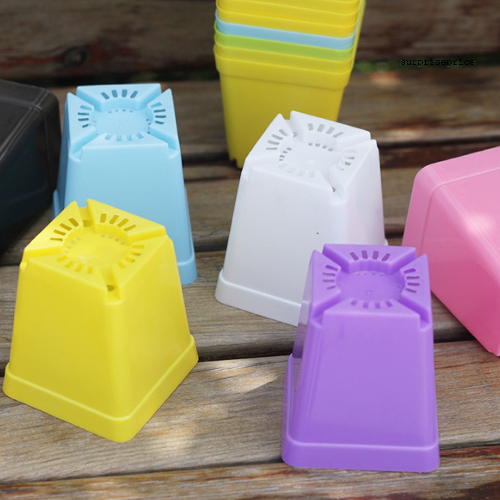 Set 10 / 20 Chậu Nhựa Dùng Trồng Cây Trang Trí Vườn