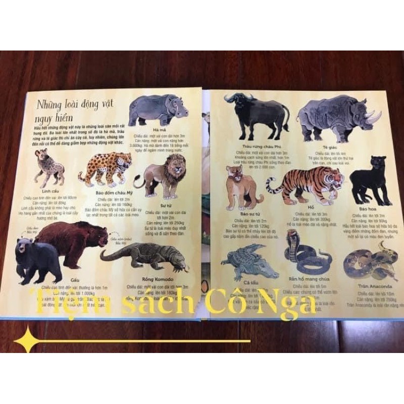 Sách Big Book Of Big Animals - Cuốn Sách Khổng Lồ Về Các Loài Động Vật Khổng Lồ