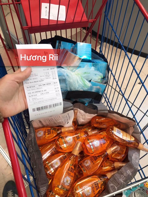 Tinh dầu dưỡng tóc GARNIER Argan-Camelia Oil làm giảm khô sơ 150ml