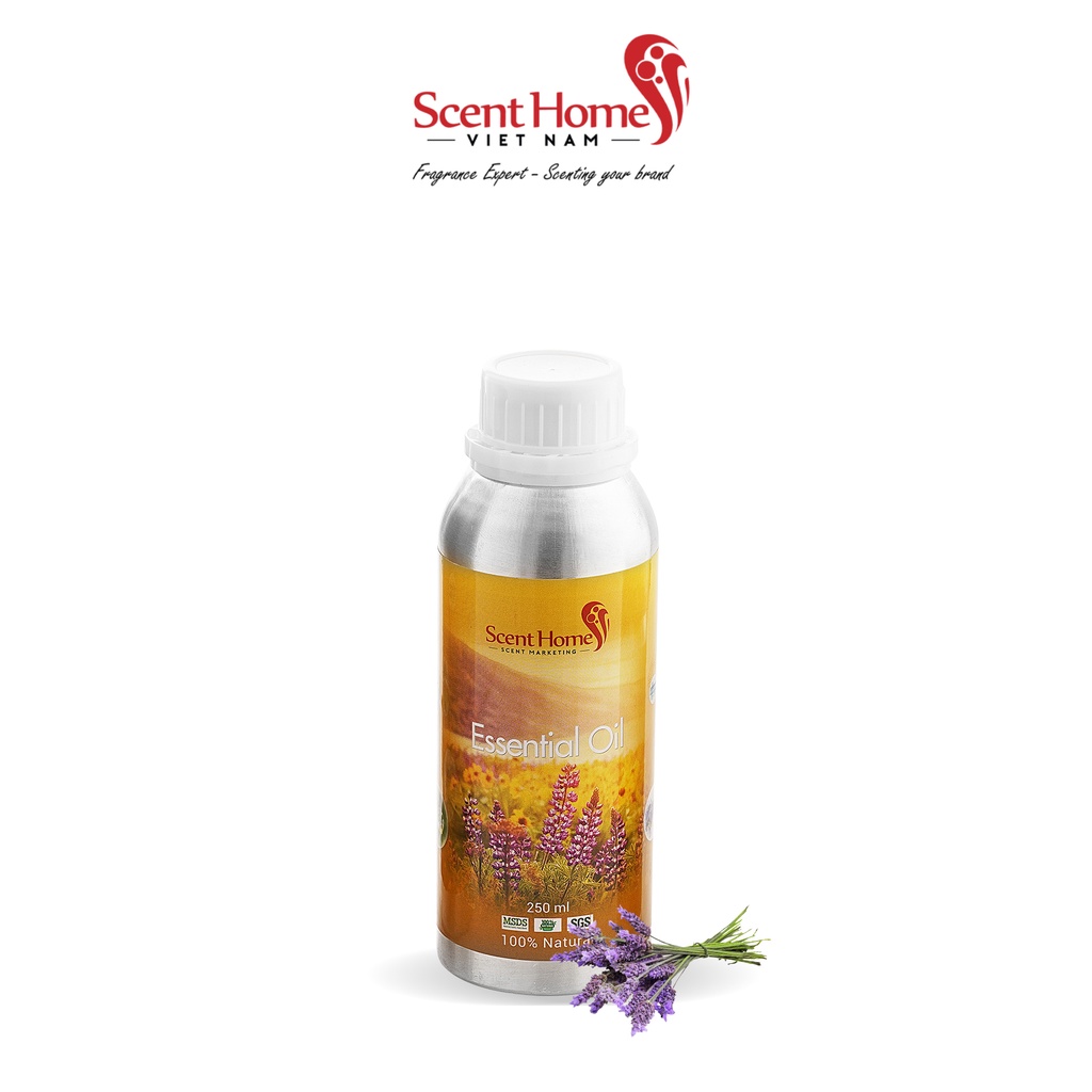[Chính hãng] Tinh dầu Lavender UK- Scent Homes (Levender UK - 50ml,100ml,250ml)