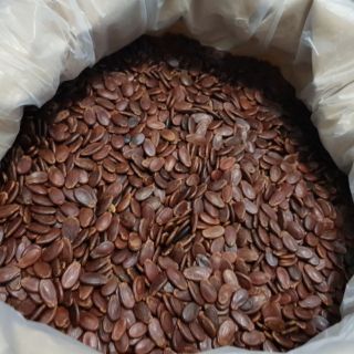 HẠT DƯA KHÔNG MÀU 500G