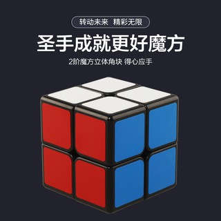 ShengShou Legend 2x2  - SP0024