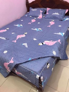 Sét chăn ga 5 món ga phủ trần bông