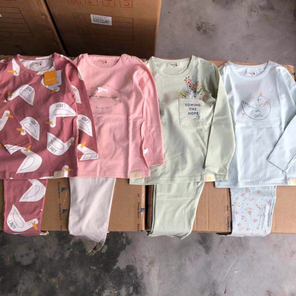 * Mã 8390: Bộ cotton bé trai, bé gái siêu đẹp còn nguyên hộp dư xịn  T6B53