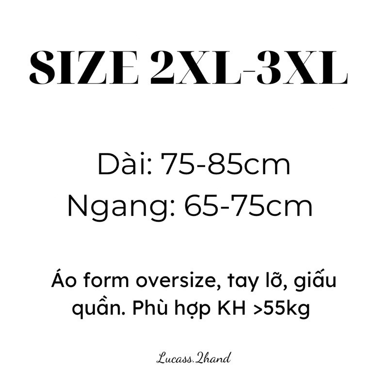 Áo thun mỹ 2hand 𝗕𝗜𝗚𝗦𝗜𝗭𝗘-𝟰 ĐƯỢC CHỌN MẪU