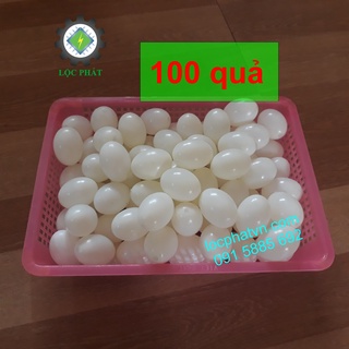 COMPO 100 TRỨNG CHIM BỒ CÂU LỎNG 100TN-TR