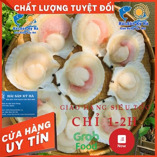 Giá sỉ 1kg sò điệp nhật nửa mảnh - giá sỉ rẻ nhất