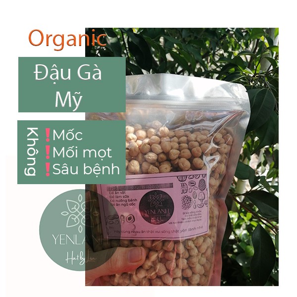 Đậu gà Mỹ hữu cơ làm sữa tàu hũ- đậu hũ chay ngon 100gr-500gr Yenlanhnatural