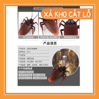 Gián điều khiển từ xa