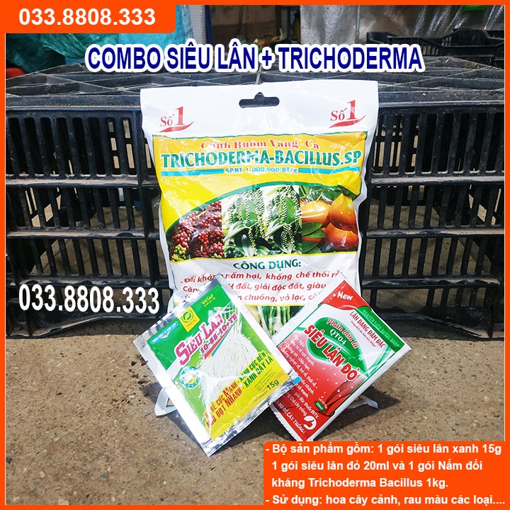 COMBO SẢN PHẨM KÍCH THÍCH PHÁT TRIỂN CHO CÂY ( TRICHODEMA 1KG + SIÊU LÂN XANH + SIÊU LÂN ĐỎ)