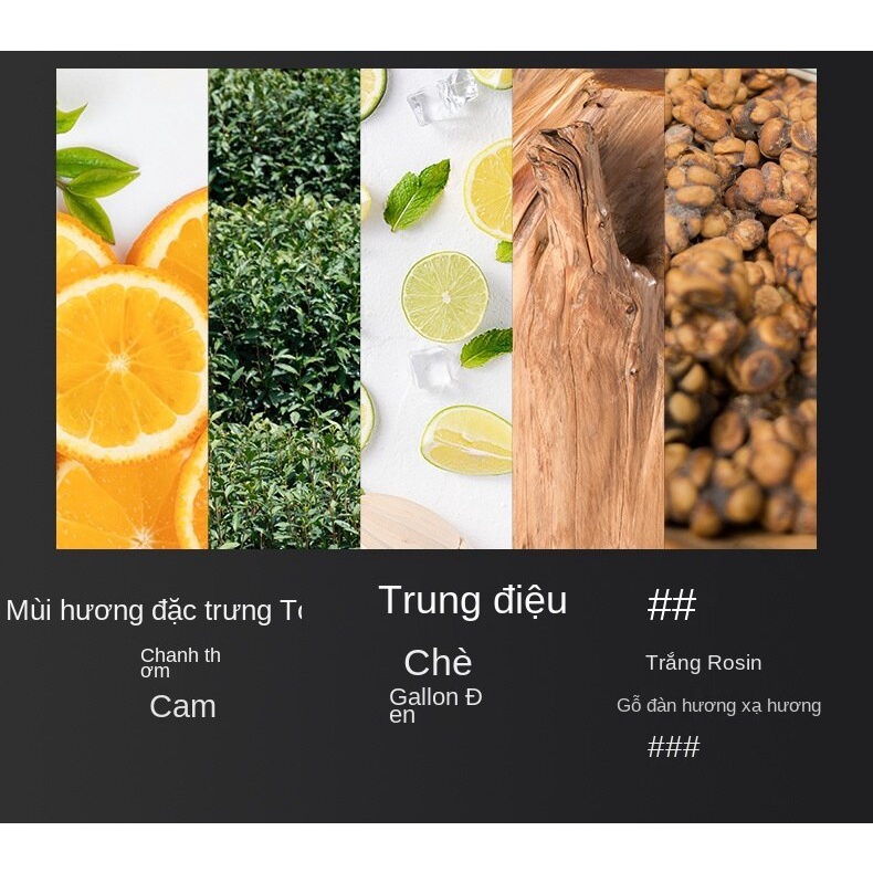 Nước Hoa Mùi Hương Tinh Tế Lâu Phai Cho Nam Giới