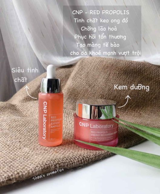 [Mã COS1904 giảm 8% đơn 300K] (#CNP) Tách sét bộ dưỡng keo ong đỏ CNP Laboratory Red Propolis | BigBuy360 - bigbuy360.vn