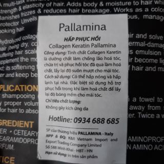 COMBO HẤP PHỤC HỒI VÀ TINH DẦU DƯỠNG TÓC PALLAMINA Ý