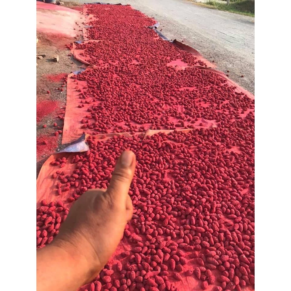 Nghệ đỏ cho gà đá - Hủ 500GR