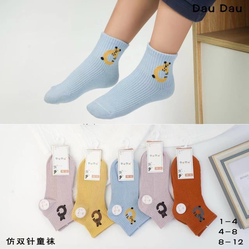 5-10 đôi tất bé gái hình gấu chất đẹp