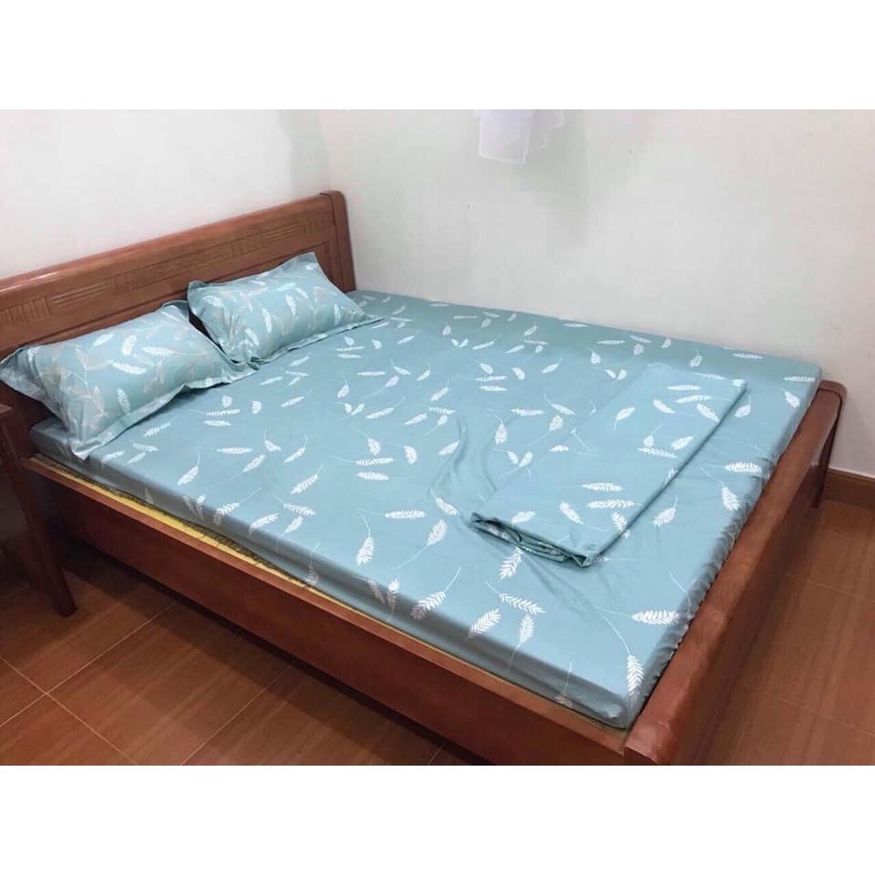 Bộ Ga Gối RIOTEX 4 Món Chất Cotton Cao Cấp Kích Thước 1m2/1m4/1m6/1m8 - Lá Ngọc