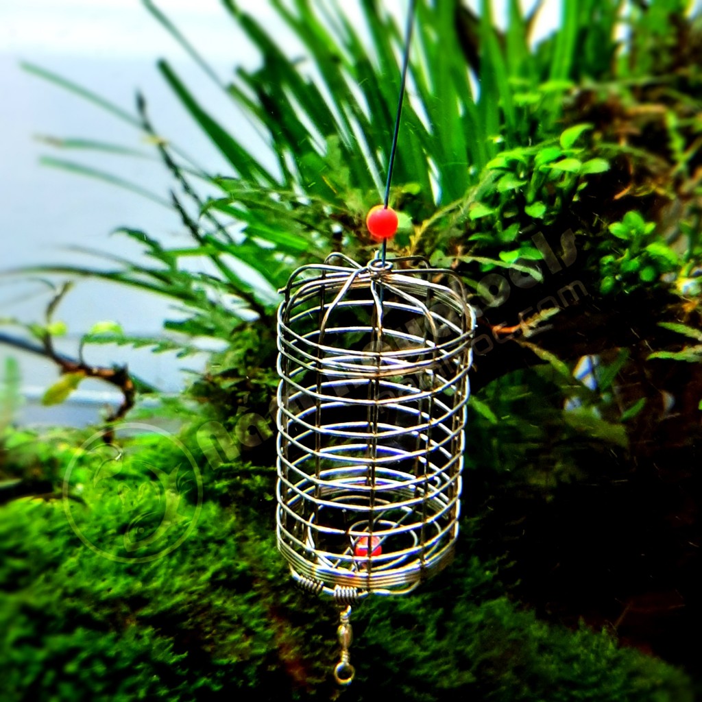 Lồng Chứa Thức Ăn Cho Tép | Lồng Tép inox - Đồ Chơi Tép