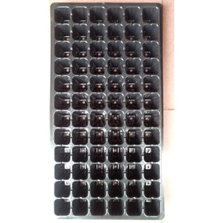 COMBO - 5KHAY ƯƠM HẠT, GIÂM CÀNH 72 LỖ