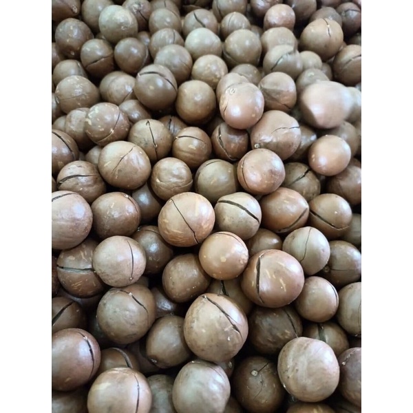 Hạt maca loại 1 - 500gr. Tặng kèm khui hạt. 100% made in Việt Nam