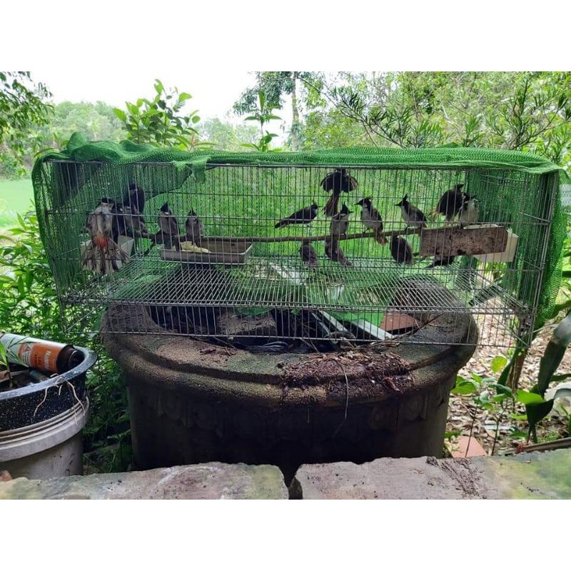 120*50*47cm Lồng Lực nan 1cm